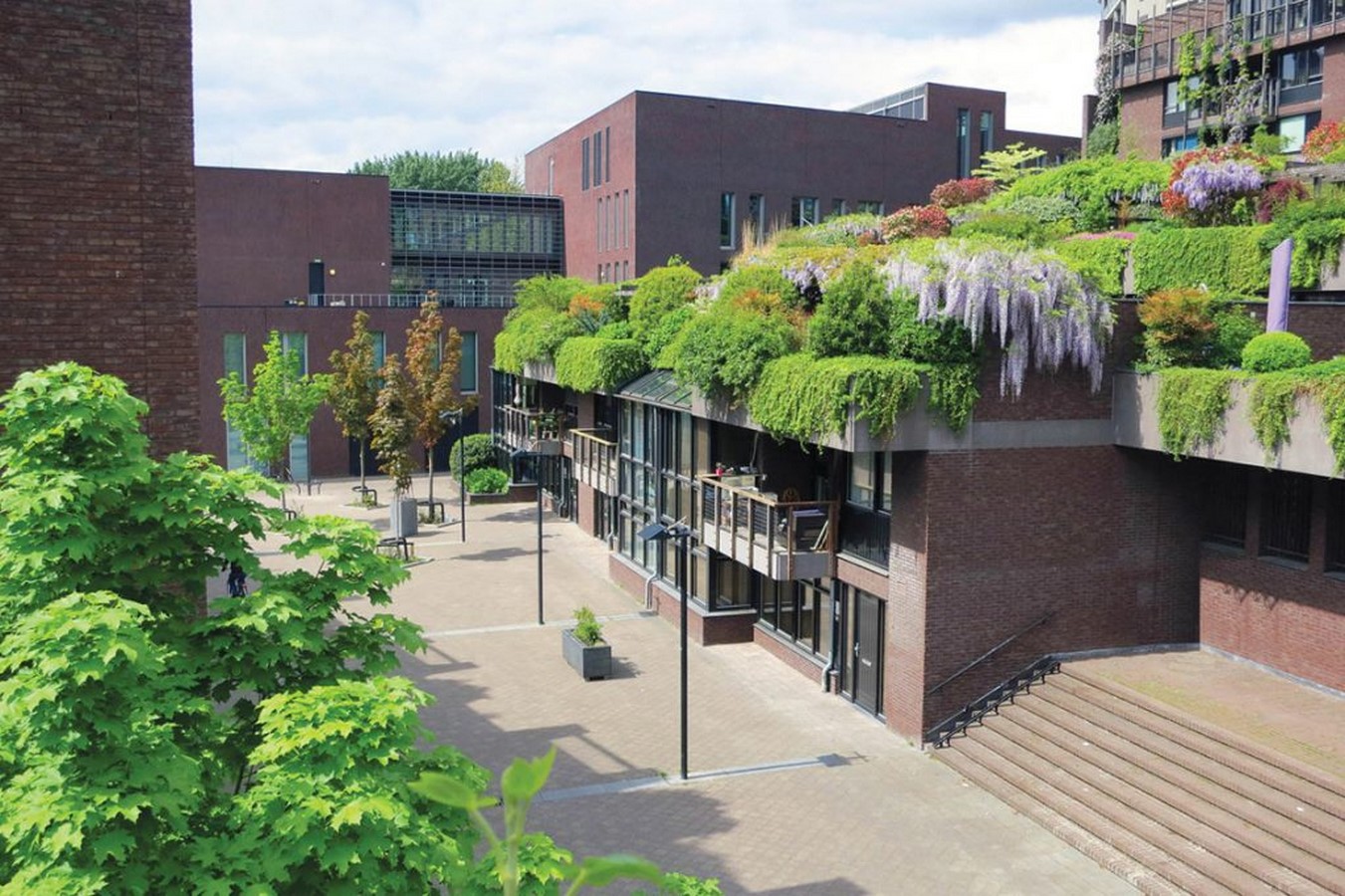 Smalle Haven _©biotope-city.netSmalle Haven _©biotope-city.net