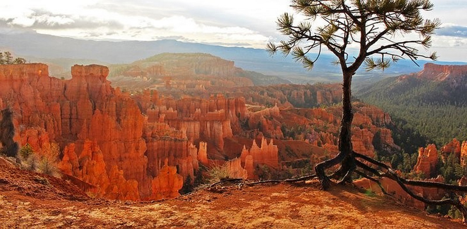 The Bryce Canyon National Park_©Lana Law