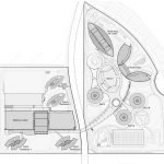 Branksome Hall Asia by Samoo Architects & Engineers - Sheet3