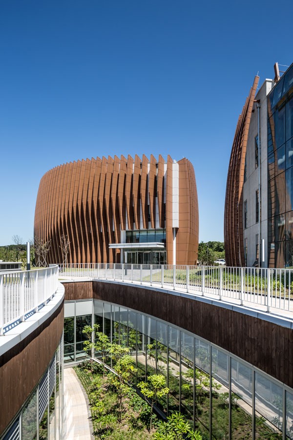 Courtyards_© https://mkpl.sg/bha-campus-jeju-island/
