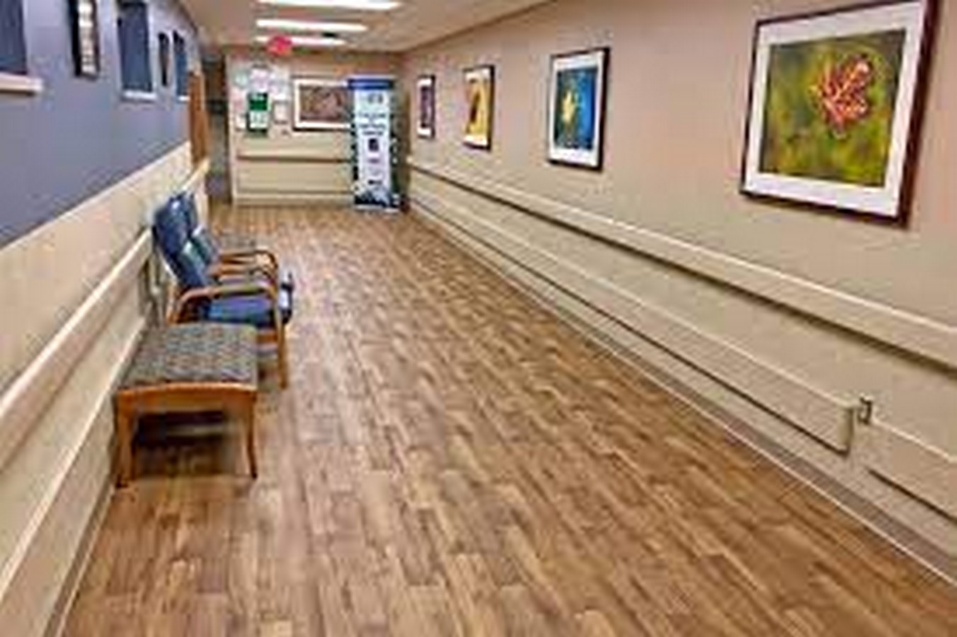 Decors in Healing Environments_ ©journalofbiophilicdesign.com