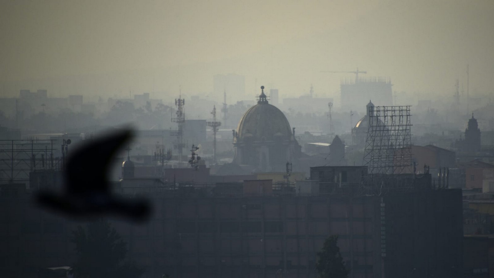Urban pollution: Mexico - Sheet1