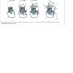 Urban pollution: Mexico - Sheet4