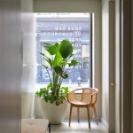 New Space for Wellness Center Clean Market’s NoHo location by Alda Ly Architecture - Sheet9