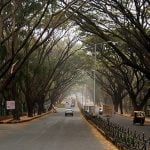 Book in Focus: Nature in the city by Harini Nagendra - Sheet10