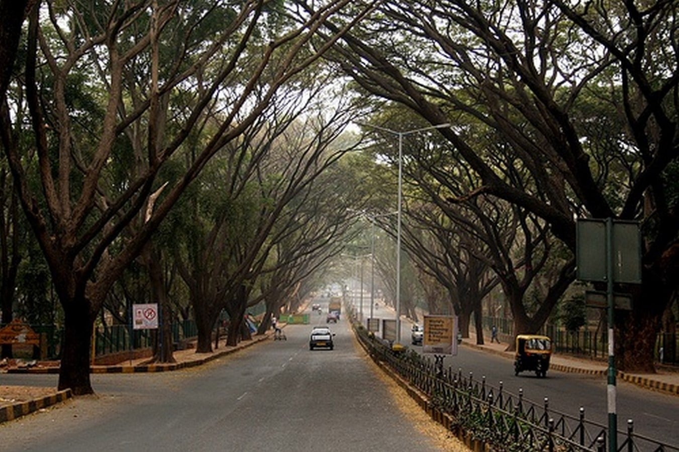 A canopy street in Jayanagar_© Nanda Talkies
