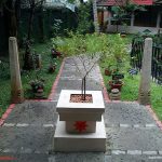 Book in Focus: Nature in the city by Harini Nagendra - Sheet6