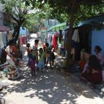 Book in Focus: Nature in the city by Harini Nagendra - Sheet7