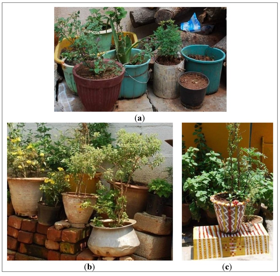 Vegetation in Bangalore slums boosting livelihood and well-being_© mdpi