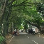 Book in Focus: Nature in the city by Harini Nagendra - Sheet9