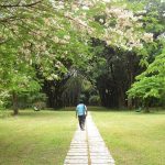 15 Places To Visit In Uttarakhand for Travelling Architect - Sheet16