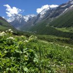 15 Places To Visit In Uttarakhand for Travelling Architect - Sheet21