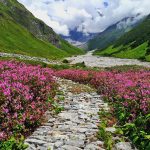 15 Places To Visit In Uttarakhand for Travelling Architect - Sheet22