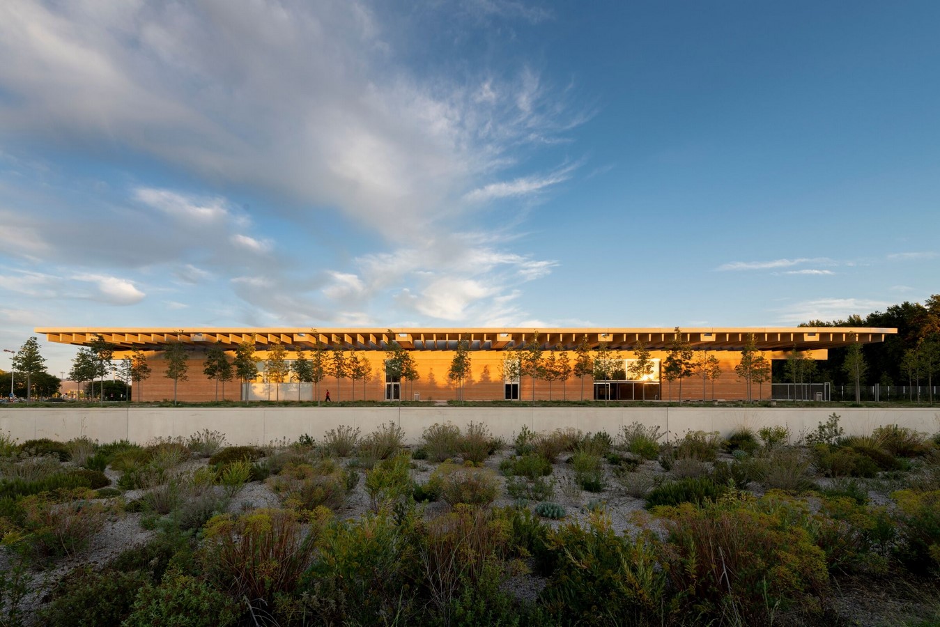 Narbo Via Museum by Foster + Partners - Sheet1