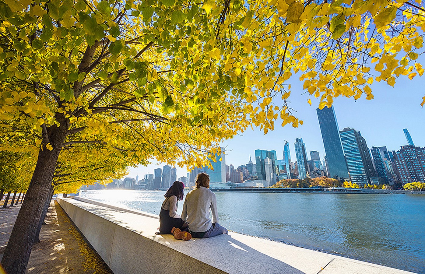View from the Roosevelt park_©https://www.frommers.com/destinations/new-york-city/attractions/franklin-d-roosevelt-four-freedoms-park