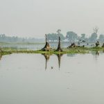 15 Places to Visit in Guwahati for Travelling Architect - Sheet32