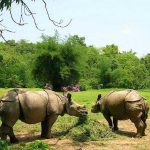 15 Places to Visit in Guwahati for Travelling Architect - Sheet39