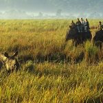 15 Places to Visit in Guwahati for Travelling Architect - Sheet43