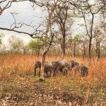 15 Places to Visit in Guwahati for Travelling Architect - Sheet44