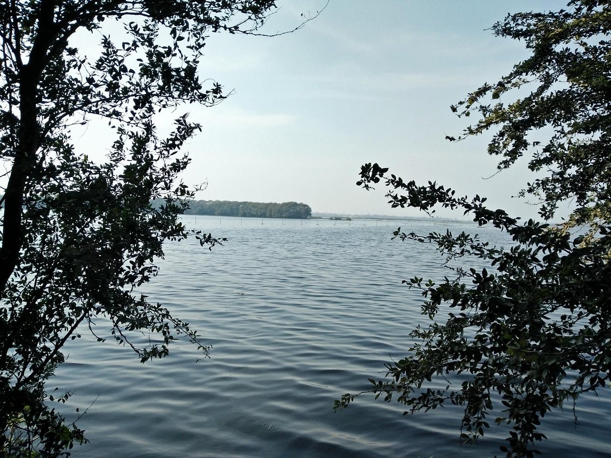 View of lake of Okhla Sanctuary_©Tushar M