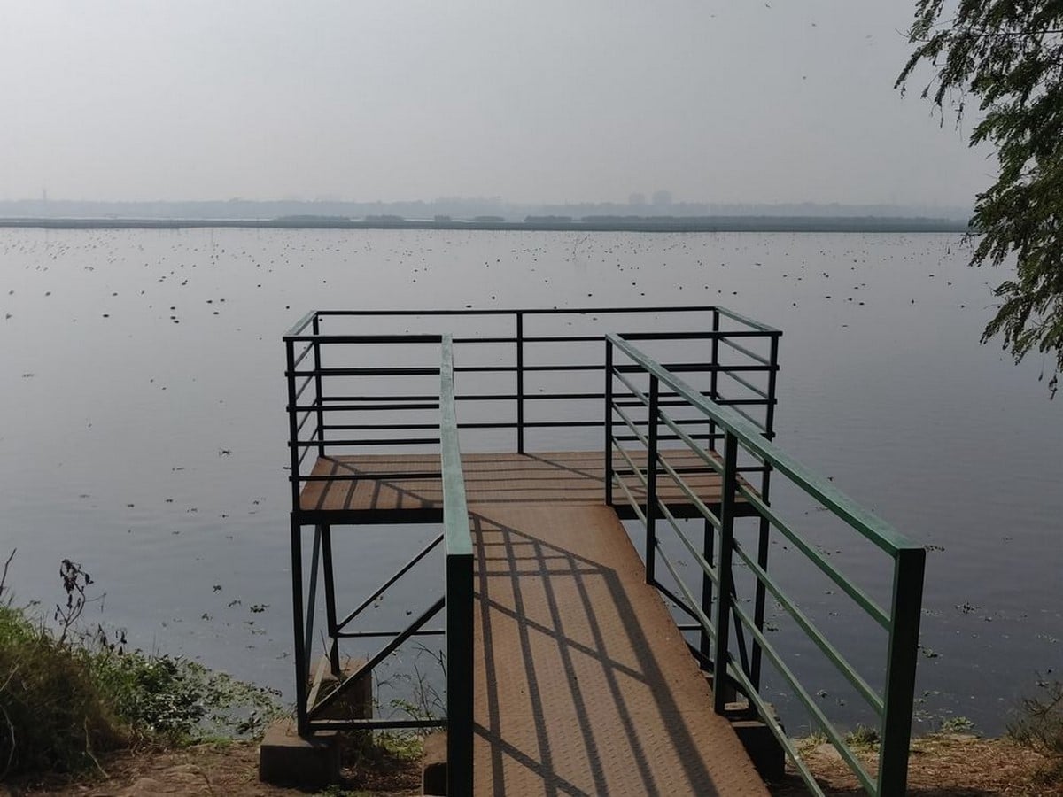 Bridgeview point to view waterbirds-_©Kousalya
