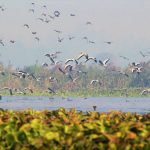 15 Places to Visit in Noida for Travelling Architect - Sheet42