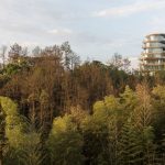 An Inside look at the Studios of MAD Architects - Sheet2