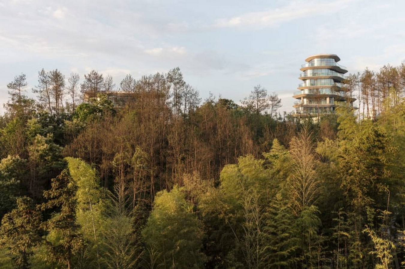 An Inside look at the Studios of MAD Architects - Sheet2