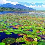 15 Places to Visit in Srinagar for Travelling Architect - Sheet7