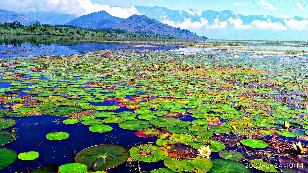 15 Places to Visit in Srinagar for Travelling Architect - Sheet7