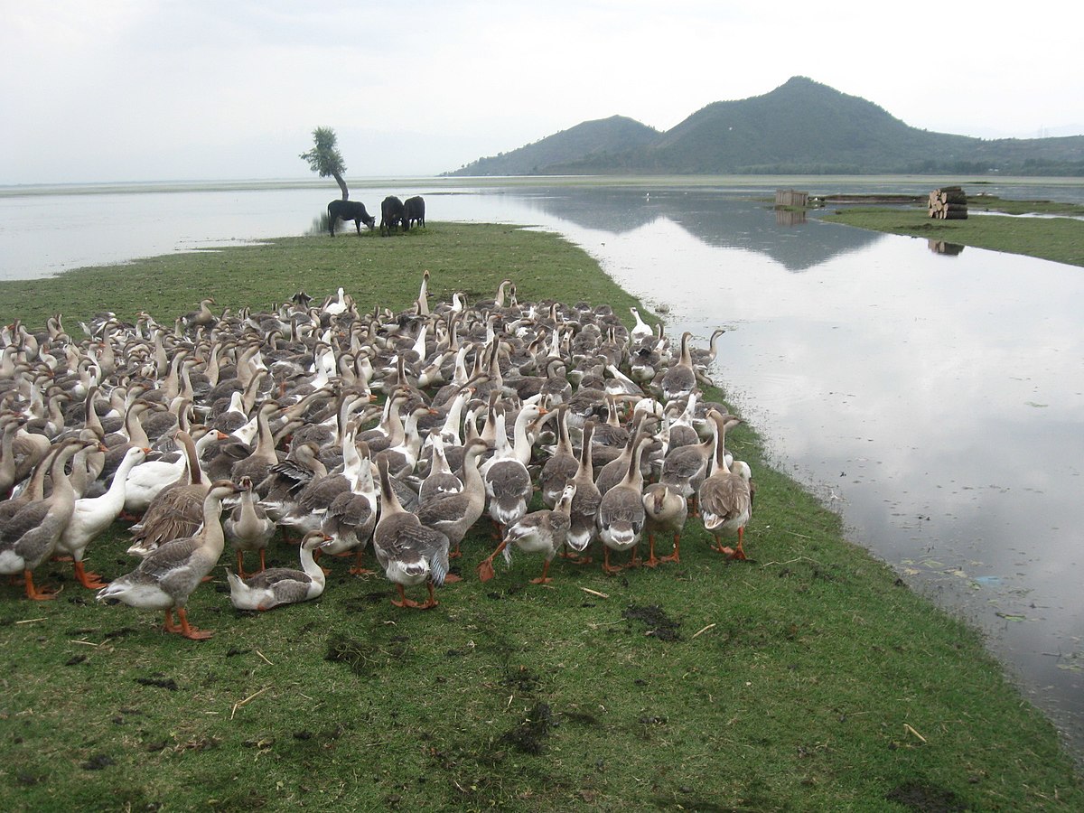 15 Places to Visit in Srinagar for Travelling Architect - Sheet9