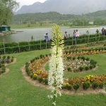15 Places to Visit in Srinagar for Travelling Architect - Sheet15