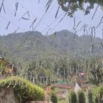 15 Places to Visit in Srinagar for Travelling Architect - Sheet18