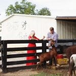 Luke Bryan House: 10 Facts through Architect's Lens - Sheet8