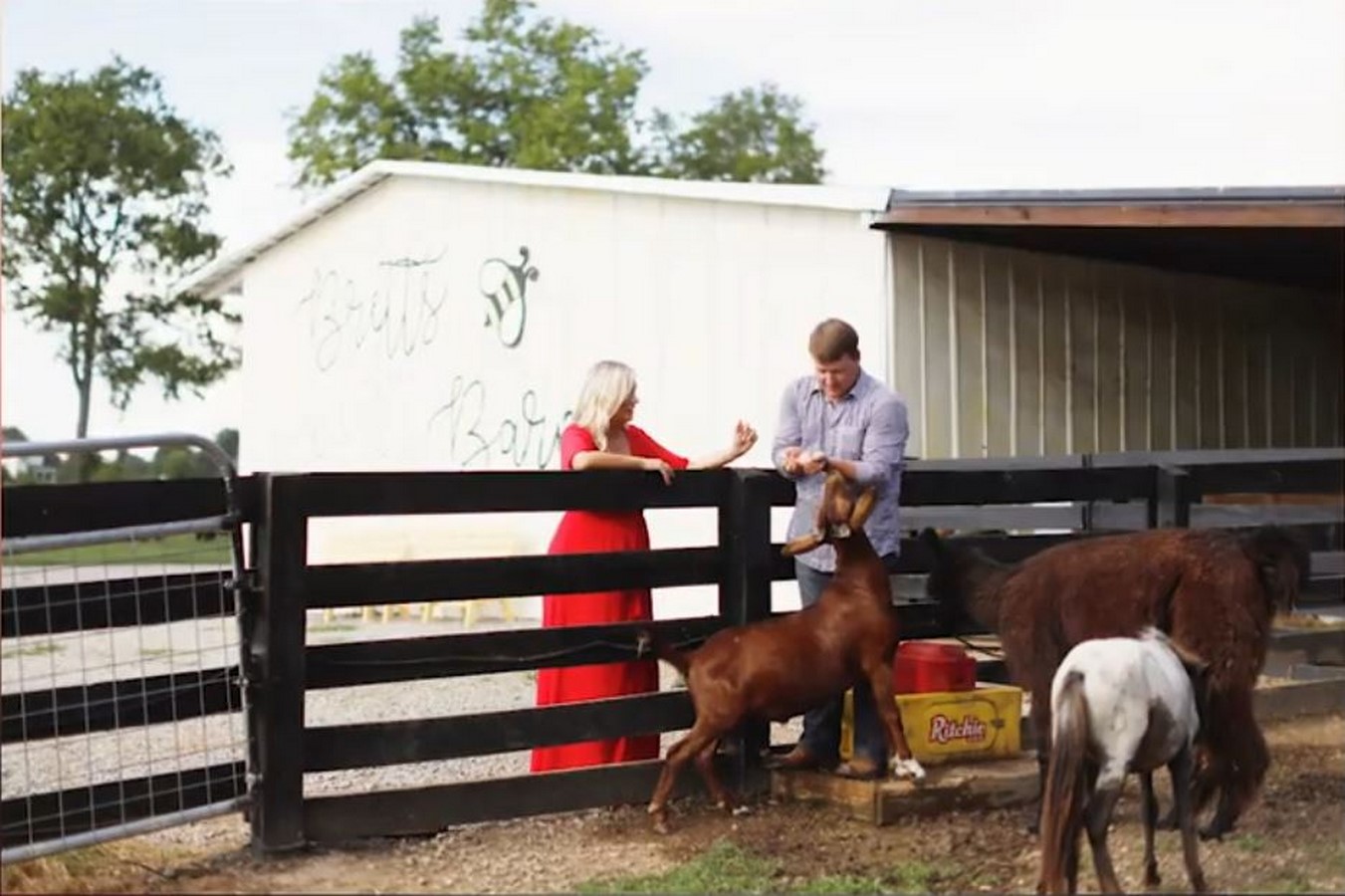 Brett’s Barn which a home to a number of animals at the ‘Red Bird Farm’_©https://www.velvetropes.com/celebrity-homes/celebrity-house-1958/photos/4