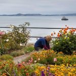 Lost in time: Alcatraz Island - Sheet11