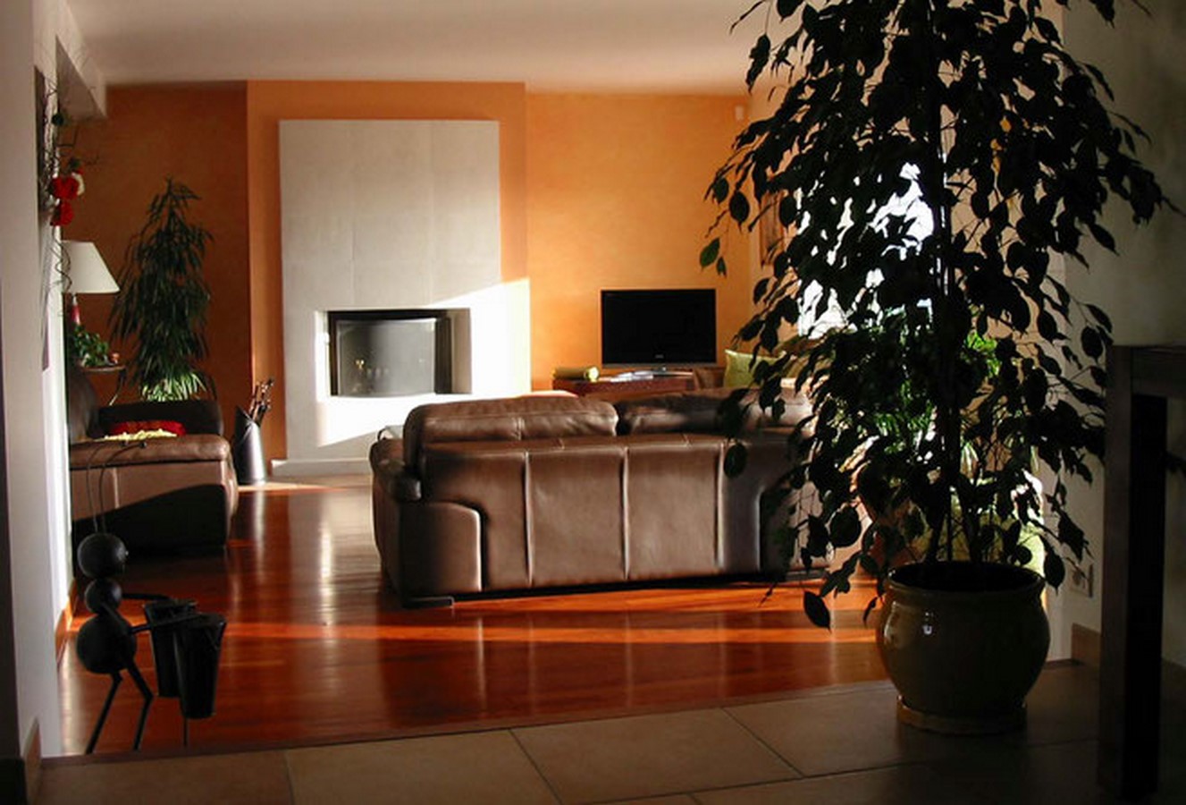 Architects in Toulouse - Top 65 Architects in Toulouse - Sheet34