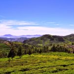 15 Places to Visit in Coimbatore for Travelling Architect - Sheet4