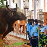 15 Places to Visit in Coimbatore for Travelling Architect - Sheet5
