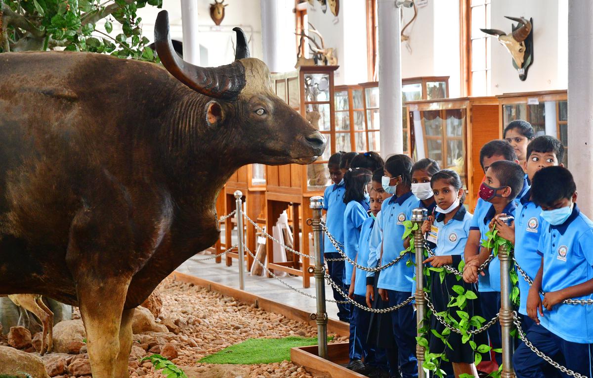 15 Places to Visit in Coimbatore for Travelling Architect - Sheet5
