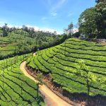 15 Places to Visit in Coimbatore for Travelling Architect - Sheet8