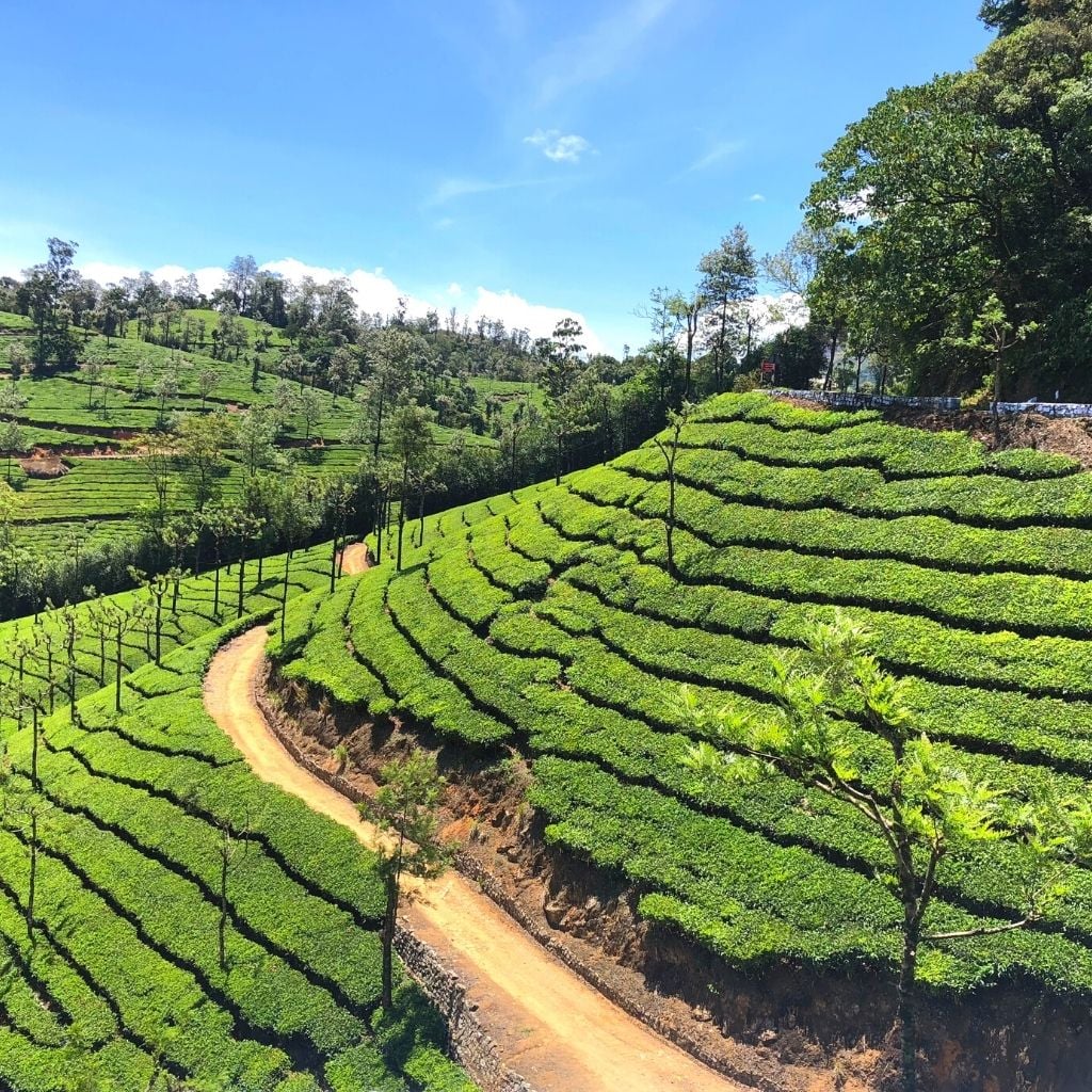 Valparai Hill Station_©Turuhi. jpg