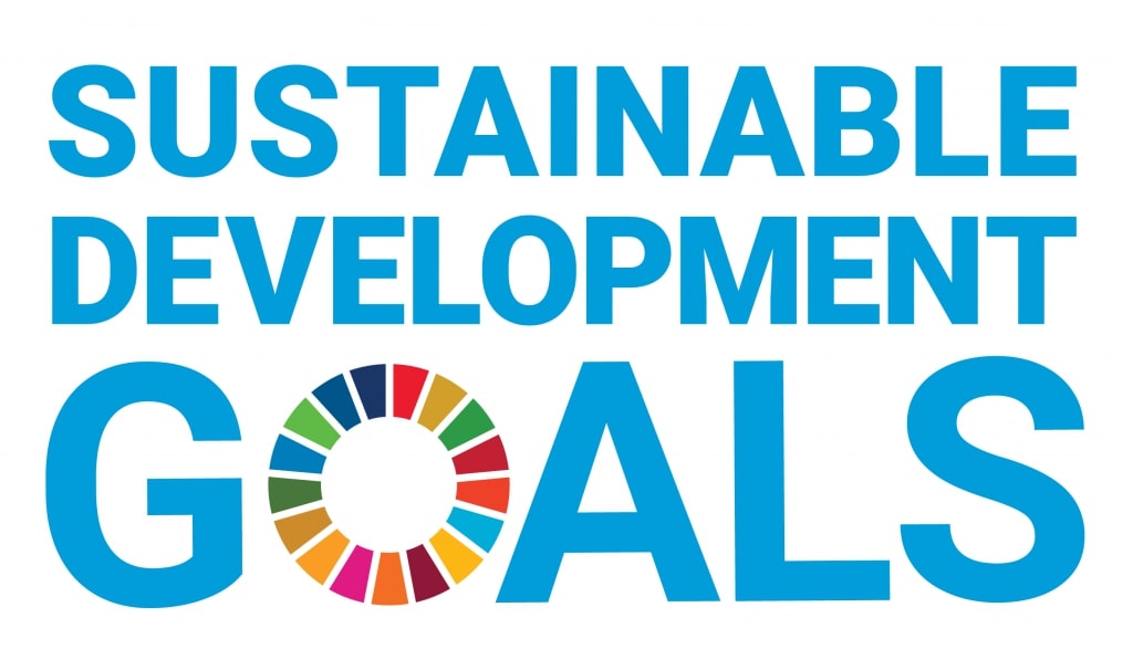 What are Sustainable Development Goals - SHeet1