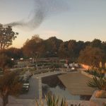 Colle degli Agrumi - Citrus Hill by Matteo cainer Architecture - Sheet3