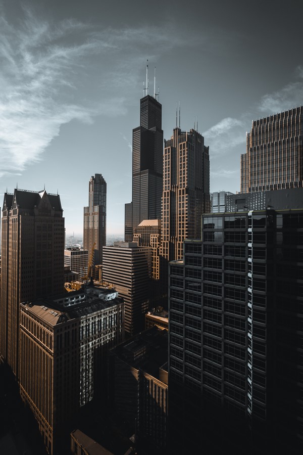 What will the architectural practices be like in 2050? - Sheet2
