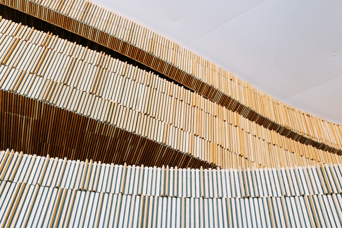 What will the architectural practices be like in 2050? - Sheet4