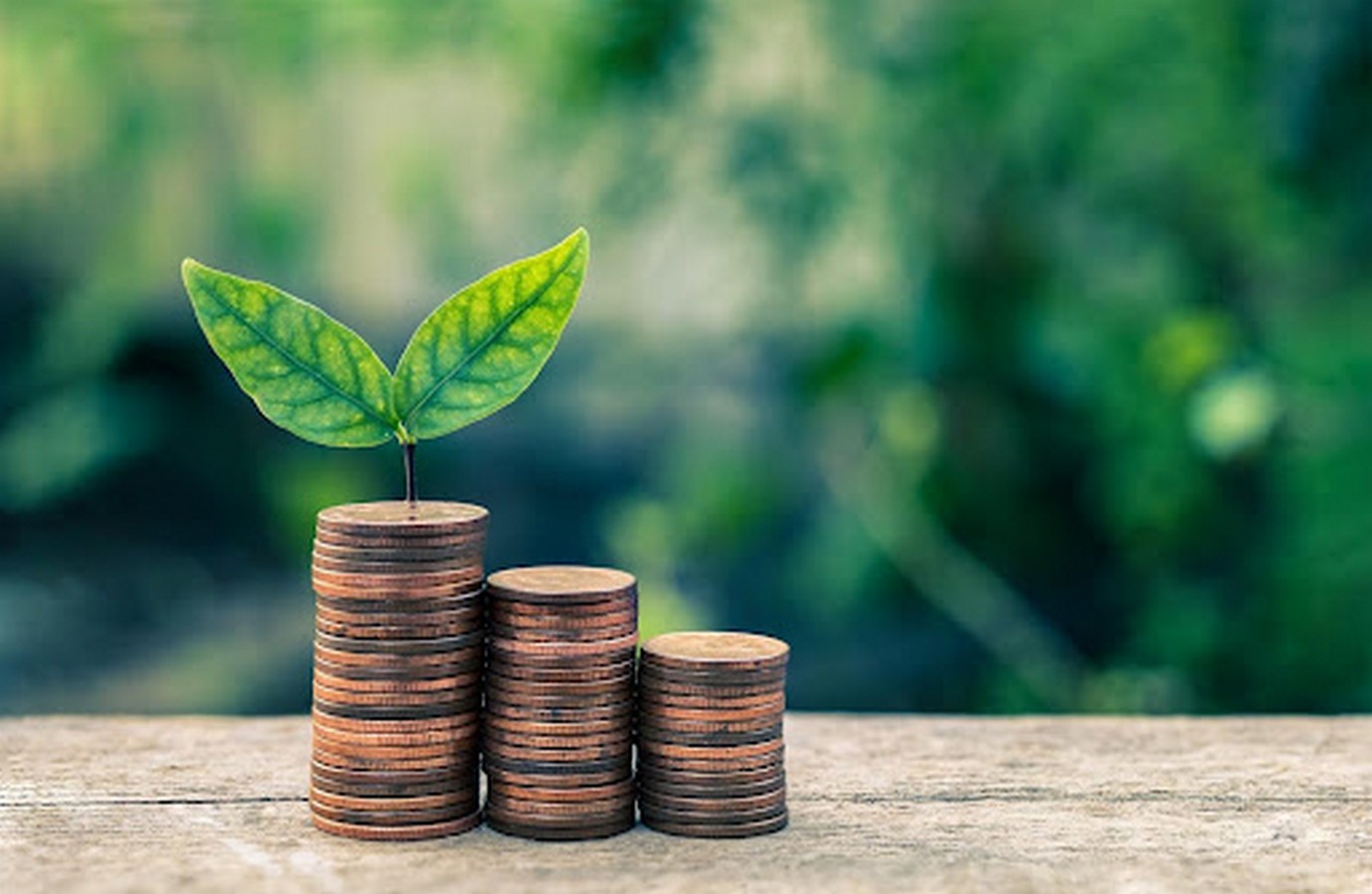 An overview of Environmental Law and Economics - Sheet2