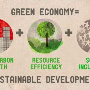 An overview of Environmental Law and Economics - RTF