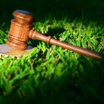 An overview of Environmental Law and Economics - Sheet5