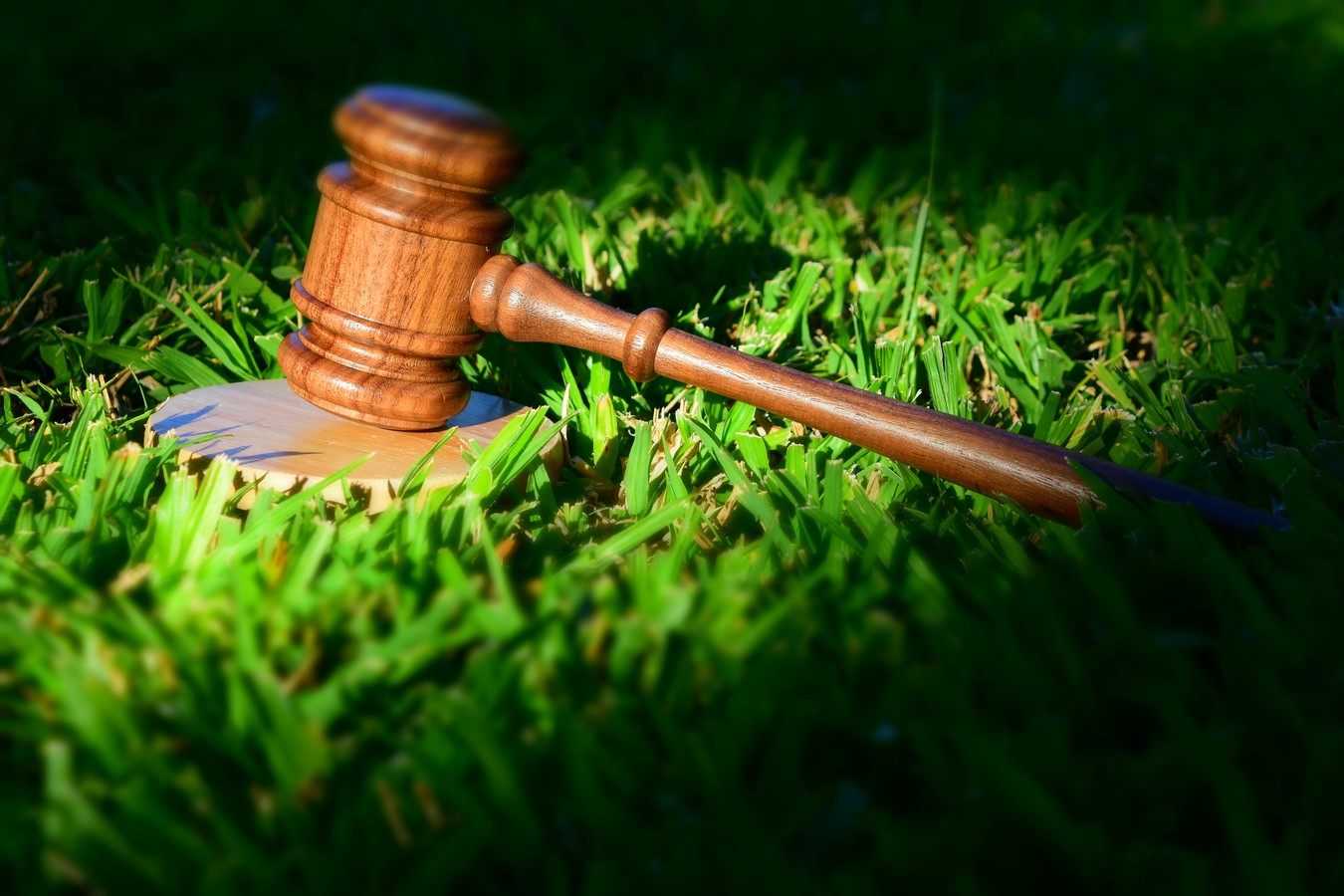 An overview of Environmental Law and Economics - Sheet5